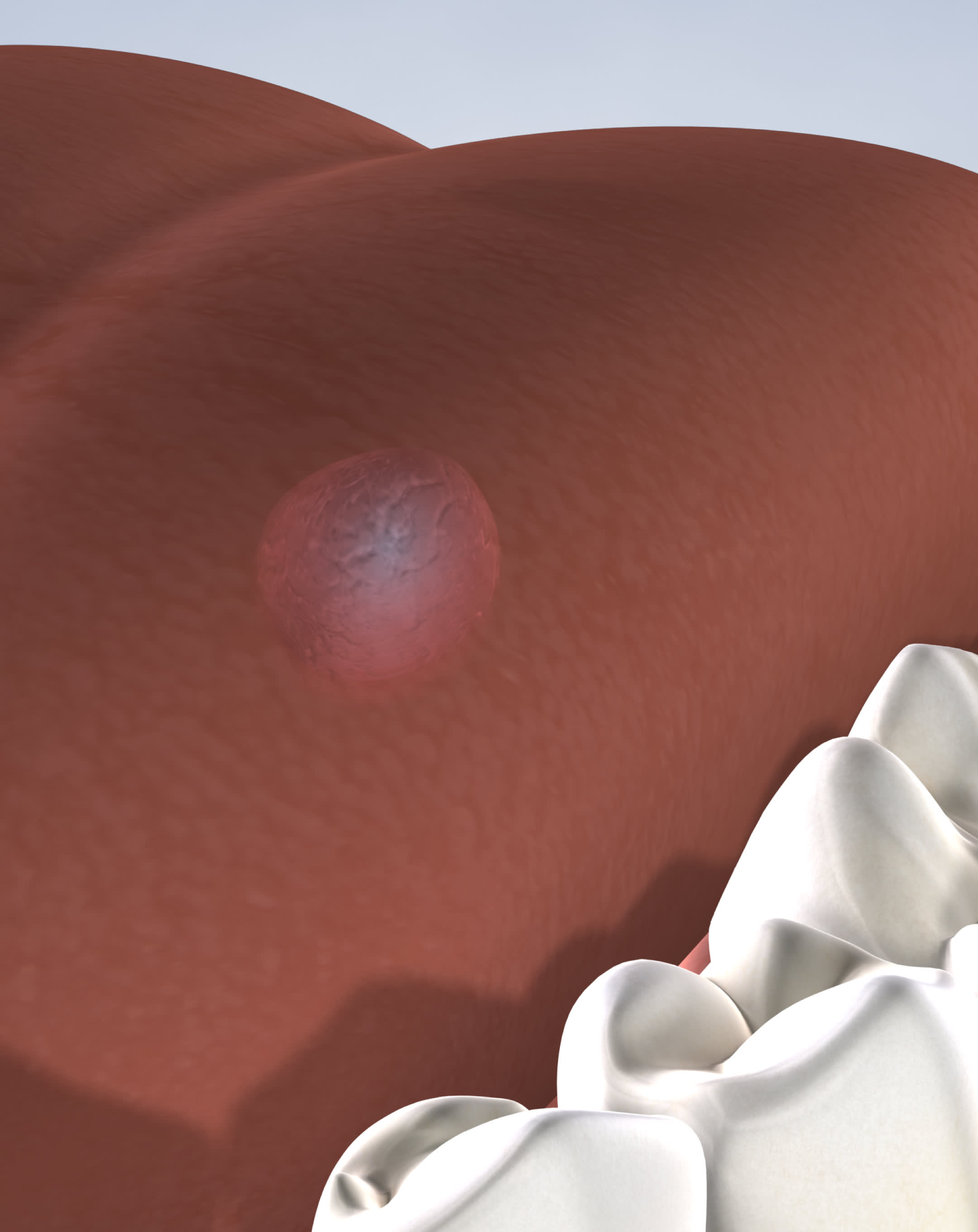 Oral pathology procedure mobile